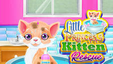 Little Princess Kitten Rescue